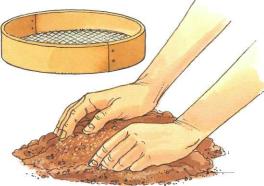 �� �� ��� - ������. ������� �����