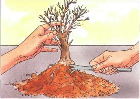 �� �� ��� - ������. ������� �����