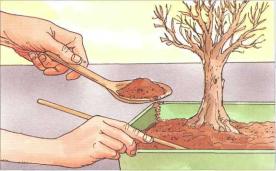 �� �� ��� - ������. ������� �����