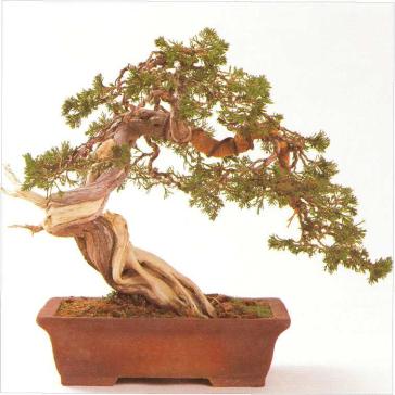 �� �� ��� - ������. ������� �����