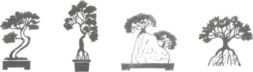 �� �� ��� - ������. ������� �����