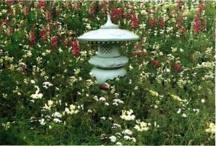 �������� - �������� ���