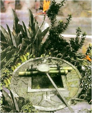 �������� - �������� ���