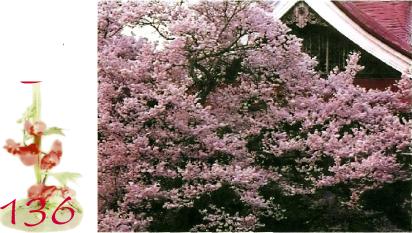 �������� - �������� ���