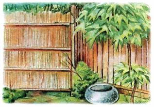 �������� - �������� ���