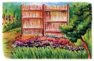 �������� - �������� ���