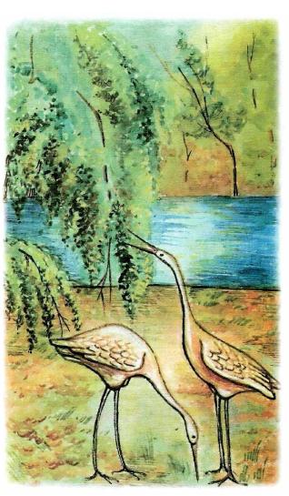 �������� - �������� ���