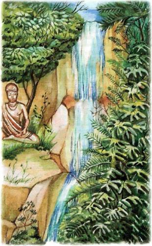 �������� - �������� ���