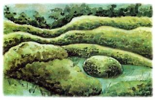 �������� - �������� ���