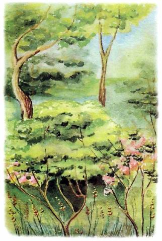 �������� - �������� ���