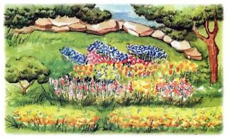 �������� - �������� ���