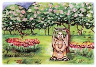 �������� - �������� ���