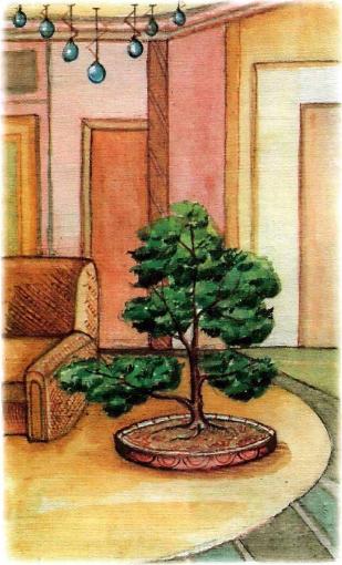 �������� - �������� ���