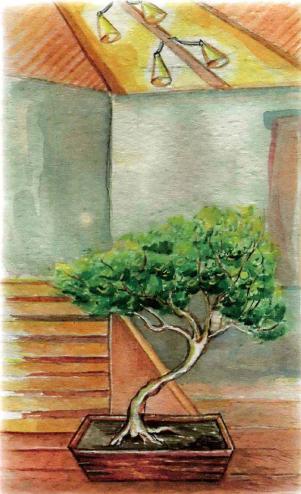 �������� - �������� ���