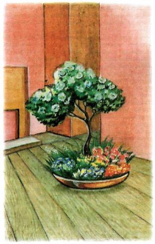 �������� - �������� ���