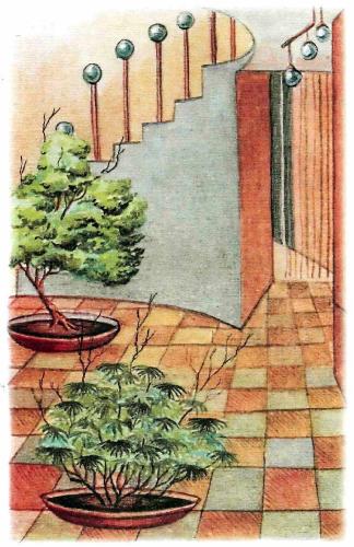 �������� - �������� ���