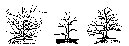 ������������ ������