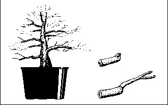 ������������ ������