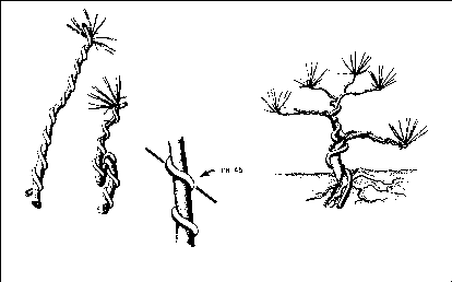 ������������ ������