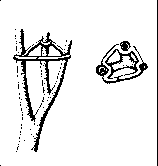 ������������ ������