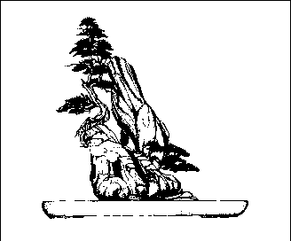 ����������� � ���������