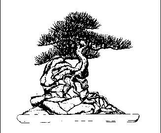 ����������� � ���������