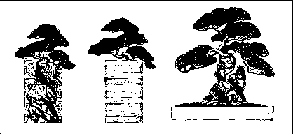 ����������� � ���������