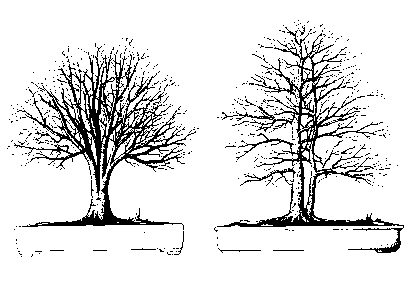 �������� �. - ������ �� �������� ����������� �����