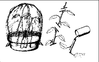 ����������� � ���������