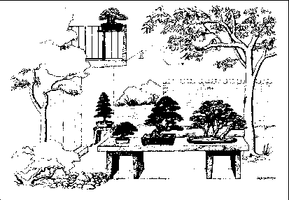 ������, ������ � �������, ��������