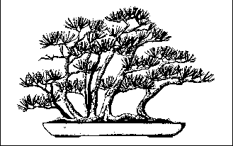 �������� �. - ������ �� �������� ����������� �����