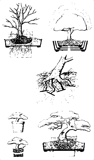 ��������� �����