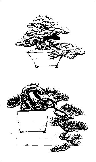 �������� �. - ������ �� �������� ����������� �����