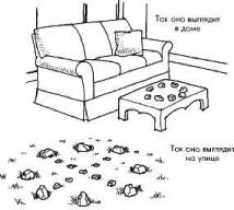 ���������� ������ ���-���