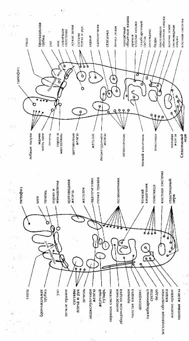 Колпакова - неизлечимых Болезней Нет