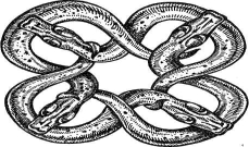 �������� - ��������� ����� � �����. �������� ���-��� ��� ����������� ������� � ������