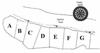 �� - ������ ���-���