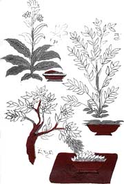 Лекарственные средства в тибетской медицине