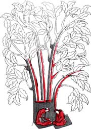 Мануальные приемы лечения заболеваний