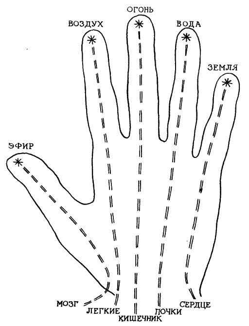 Аюрведа. Наука Самоисцеления