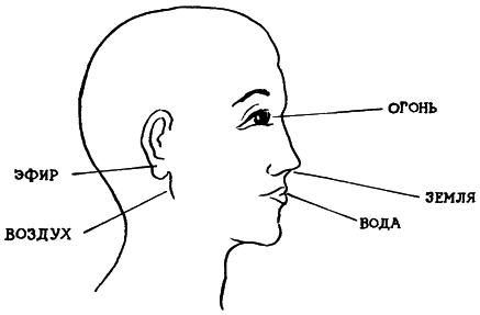 Аюрведа. Наука Самоисцеления