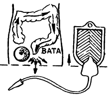 Аюрведа. Наука Самоисцеления