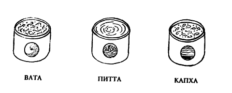 Аюрведа. Наука Самоисцеления