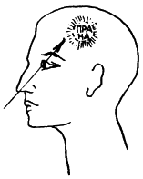 Аюрведа. Наука Самоисцеления