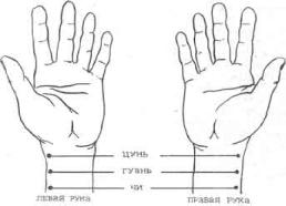 �������� - ������� ��������� �������