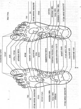 �������� - ������� ��������� �������