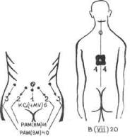 �������� - ������� ��������� �������