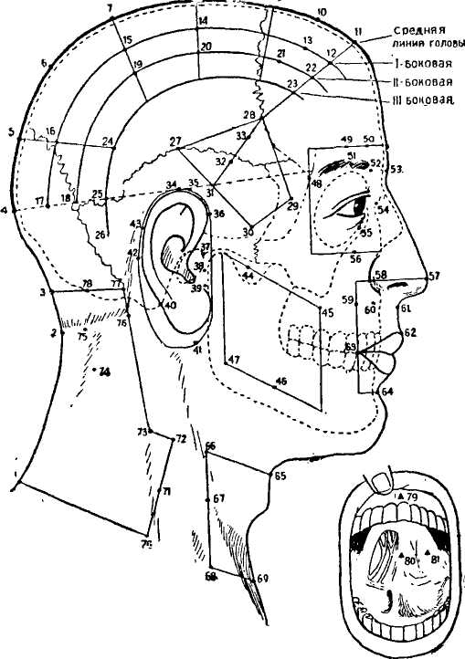 �������� ��������������