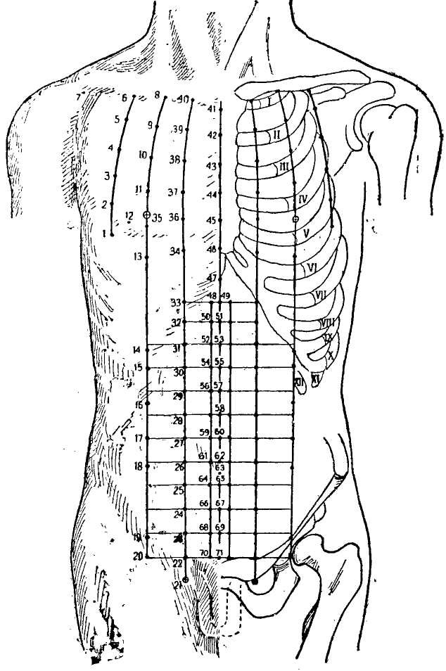 �������� ��������������