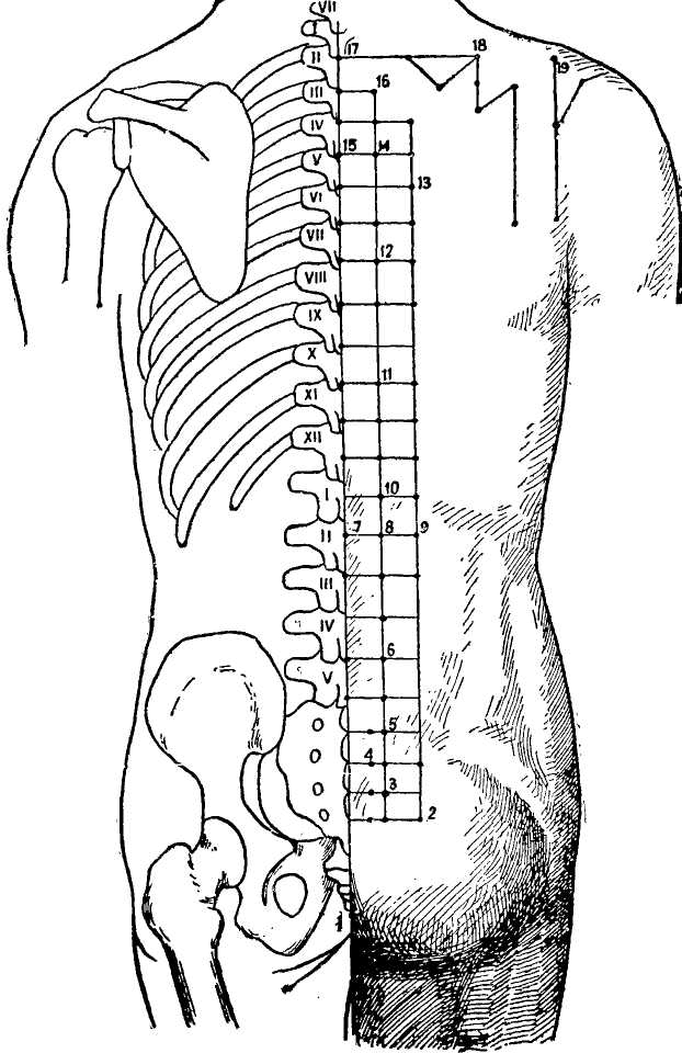 �������� ��������������